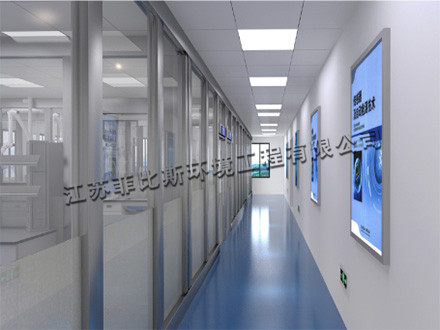 Laboratory decoration engineering