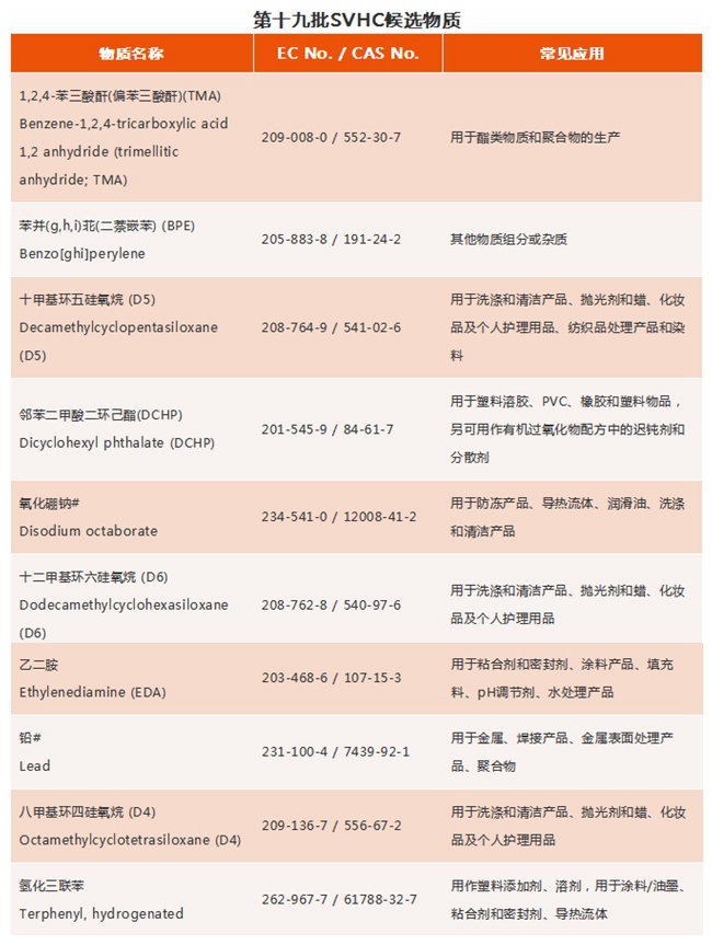 REACH191�(xi��ng)